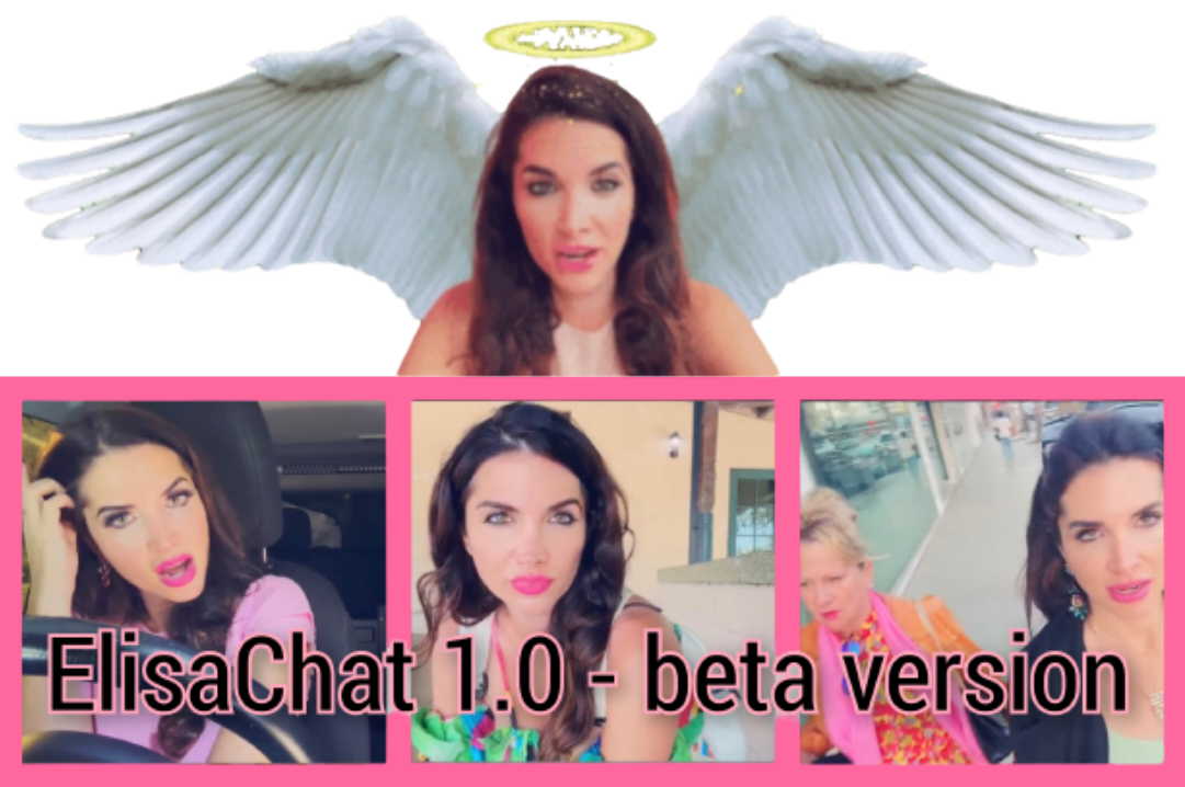 ELISA CHAT! 1.0